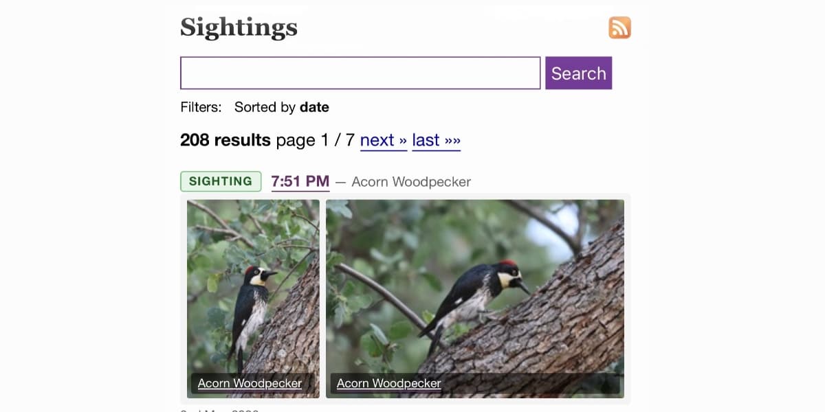Simon Willison syndique ses photos d'oiseaux sur son blog avec Claude