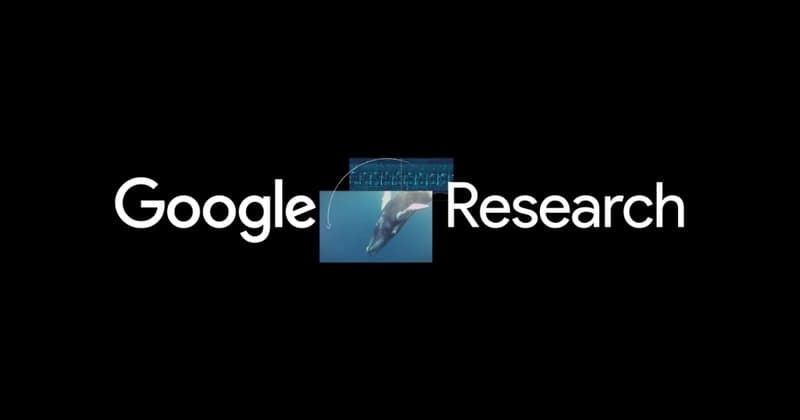 Google partage 250 000 outils IA : comment la science avance en open