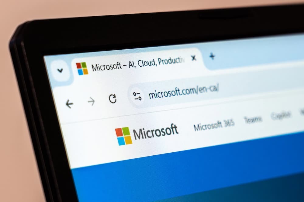 Microsoft et Meta ont balancé les noms de régulateurs néerlandais au Sénat US
